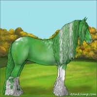 Horse Color:Watercolor Black Tobiano 