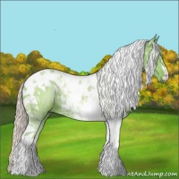 Horse Color:Watercolor Silver Grullo Tobiano 