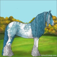 Horse Color:Watercolor Black Tobiano 