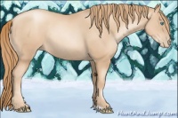 Horse Color:Gold Champagne Pearl Sabino Rabicano 