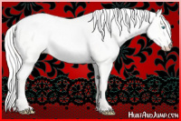 Horse Color:Silver Perlino Dun 