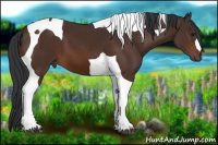 Horse Color:Bay Tobiano 