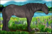 Horse Color:Platinum Buckskin 