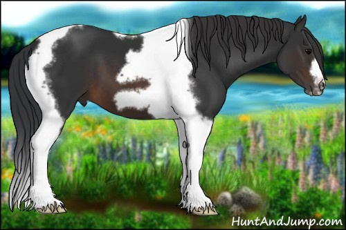 Horse Color:Brown Tobiano Frame 