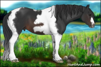 Horse Color:Brown Tobiano Frame 