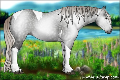 Horse Color:Gray Silver Black Tobiano 