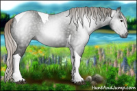 Horse Color:Gray Silver Black Tobiano 