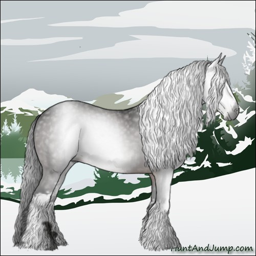 Horse Color:Gray White Spotted Bay 