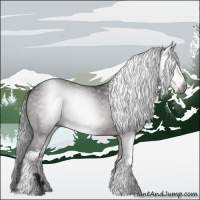 Horse Color:Gray White Spotted Bay
