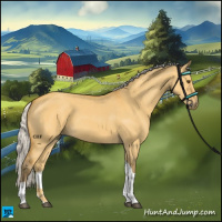 Horse Color:Silver Buckskin Dun Tobiano