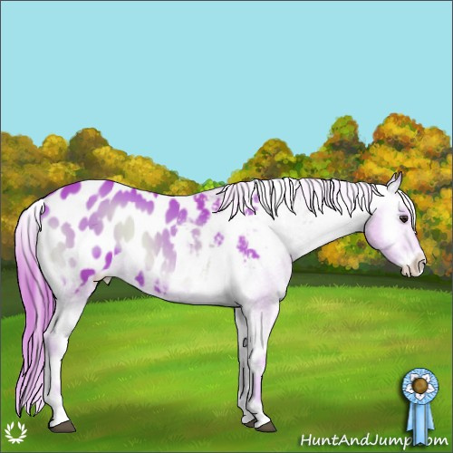 Horse Color:Watercolor Liver Red Onyx Appaloosa 