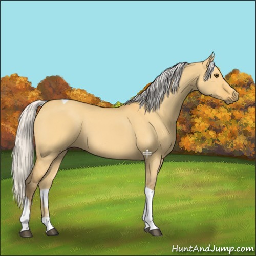 Horse Color:Silver Buckskin Dun Tobiano