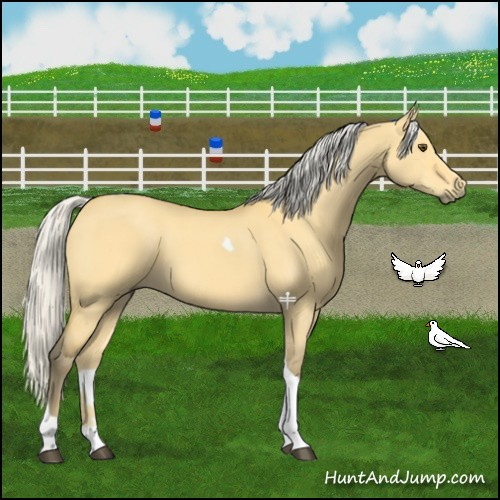 Horse Color:Silver Buckskin Dun Tobiano