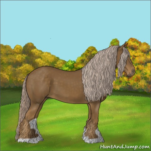 Horse Color:Chocolate Palomino 