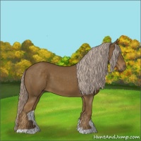 Horse Color:Chocolate Palomino 