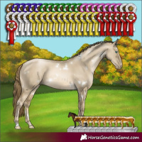 Horse Color:White Spotted Smoky Grullo Pearl Rabicano 