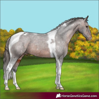 Horse Color:Brown Tobiano Varnish 