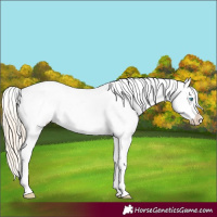 Horse Color:Perlino Dun Tobiano Varnish 