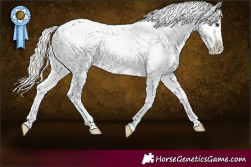 Horse Color:Silver Buckskin Snowflake Varnish 