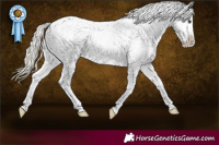Horse Color:Silver Buckskin Snowflake Varnish 