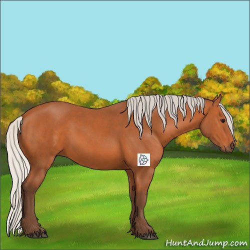 Horse Color:Silver Bay 