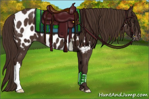 Horse Color:Liver Chestnut Near Leopard