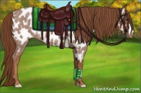 Horse Color:Red Roan Near Leopard 