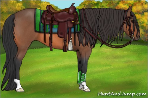 Horse Color:Bay Roan 