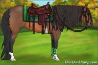 Horse Color:Bay Roan 