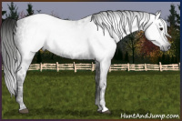 Horse Color:Gray Black Ice 