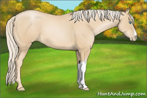 Horse Color:Palomino Pearl