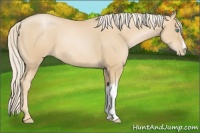 Horse Color:Palomino Pearl 