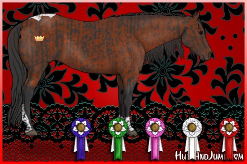 Horse Color:Brown Tobiano  and Brown Tobiano 