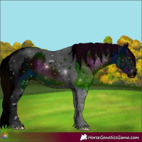 Horse Color:ERROR: UNKNOWN ANOMALY