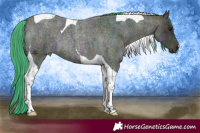 Horse Color:Watercolor Midnight Buckskin Ice Roan Tobiano 