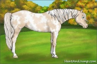 Horse Color:White Spotted Palomino Pearl 