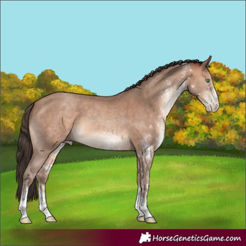 Horse Color:White Spotted Amber Champagne 