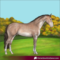 Horse Color:White Spotted Amber Champagne 