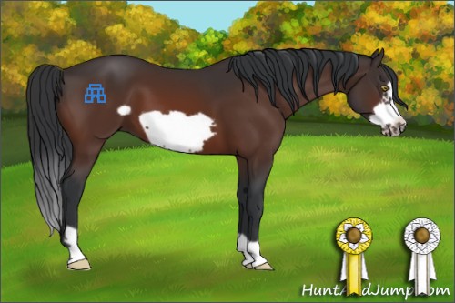 Horse Color:Brown Frame 