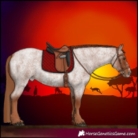 Horse Color:Red Roan Frame
