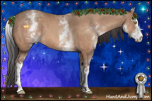 Horse Color:White Spotted Amber Champagne 