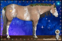 Horse Color:White Spotted Amber Champagne 