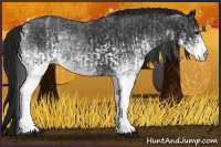 Horse Color:White Spotted Blue Roan Rabicano  and Gray White Spotted Blue Roan Rabicano 