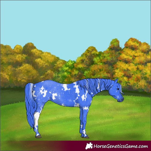 Horse Color:Watercolor White Spotted Black