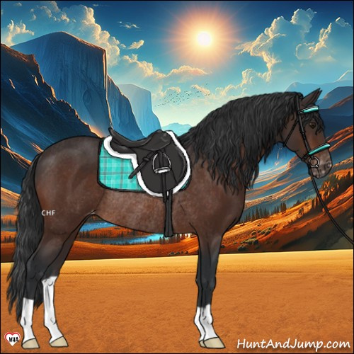 Horse Color:Brown Varnish Rabicano