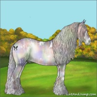 Horse Color:Nacre White Spotted Silver Blue Onyx Chinchilla Ice 