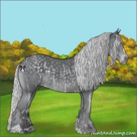 Horse Color:Silver Black Chinchilla Ice Sabino 
