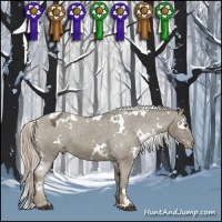 Horse Color:White Spotted Chocolate Palomino Mushroom Varnish