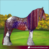 Horse Color:Painted Bay Ice Tobiano 