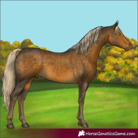 Horse Color:Chocolate Palomino Mushroom 